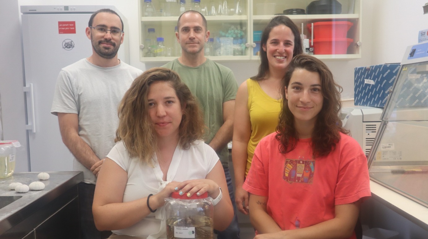 The Bronstein Lab