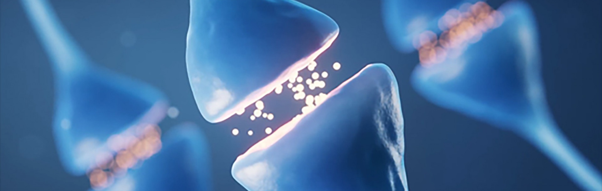 When the Cell's Production Manager Goes Off Its Rails