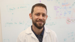 Brain cancer in mice eradicated in groundbreaking Israeli study