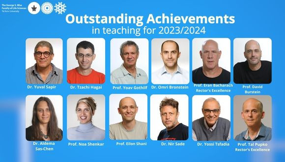 Top Lecturers 