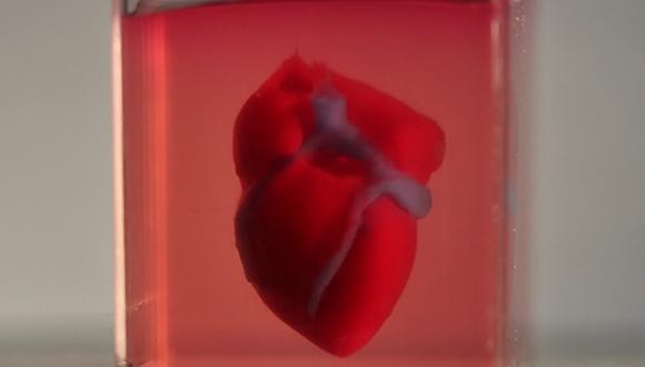 Printed heart