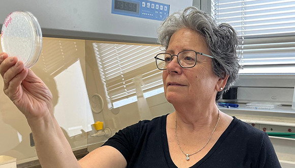 How Do Cells Handle Too Many Gene Copies?