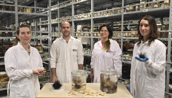 Bronstein's Lab team 