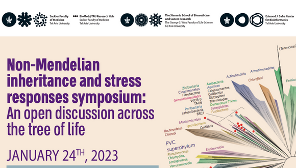 stress responses symposium