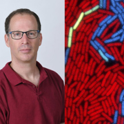 How do viruses choose whether to become nasty or not?